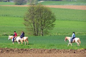 reiten01 300x200 - Reiten