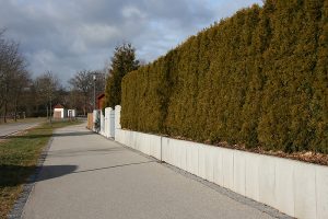 buergerservice reinigung strassen wege 300x200 - Reinhaltung und Reinigung öffentlicher Straßen und Gehwege