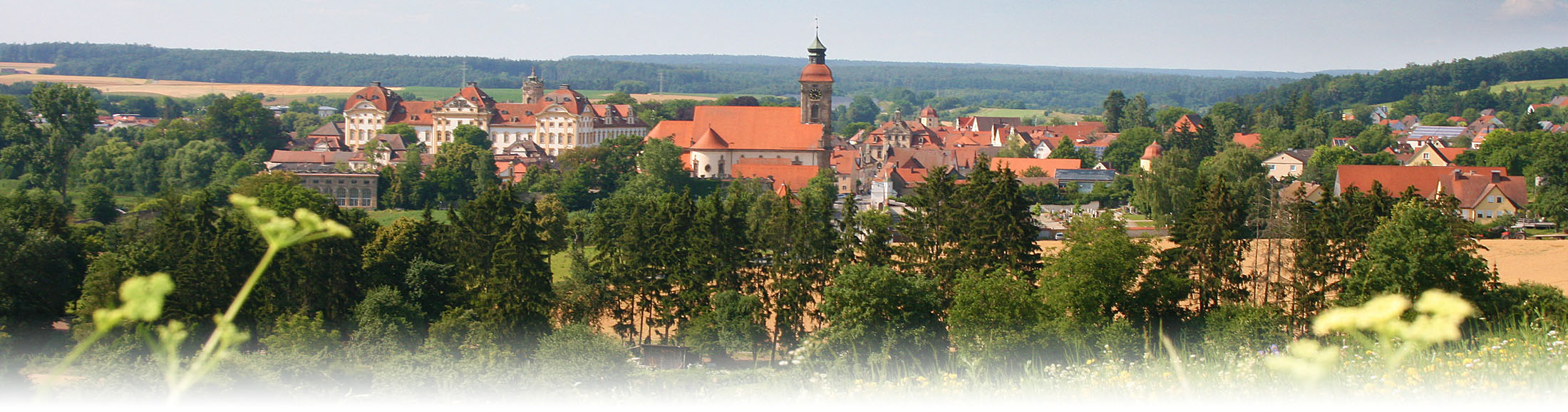 Panorama von Ellingen