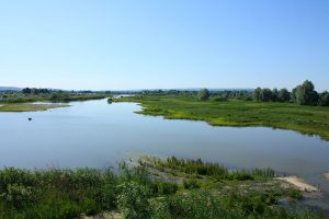 seenland altmuehlsee vogelinsel c lbv c pbria.jpg 300x200 - Fränkisches Seenland